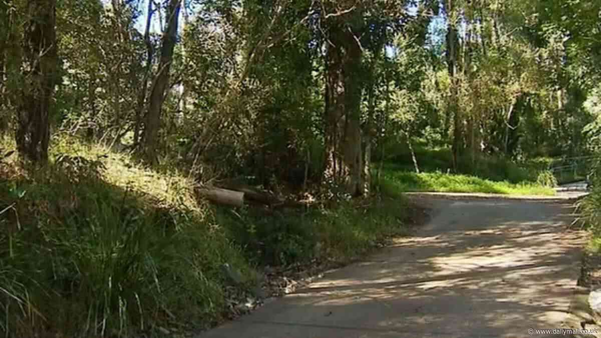 Mount Coo-tha, Brisbane: Urgent manhunt launched after woman was attacked on popular Cockatoo Trail