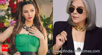 Salman's ex-girlfriend Somy defends Zeenat