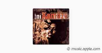 Here Comes the Hotstepper (Heartical Mix) - Ini Kamoze