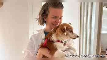 Selbst zum Hund werden: Tipps gegen Trauer um totes Haustier