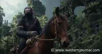 1st Summer Blockbuster of 2024? 'Kingdom of the Planet of the Apes' Is Trying to Save Floundering Box Office