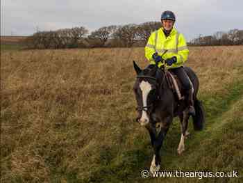 East Sussex equestrian rider writes her horse into her will