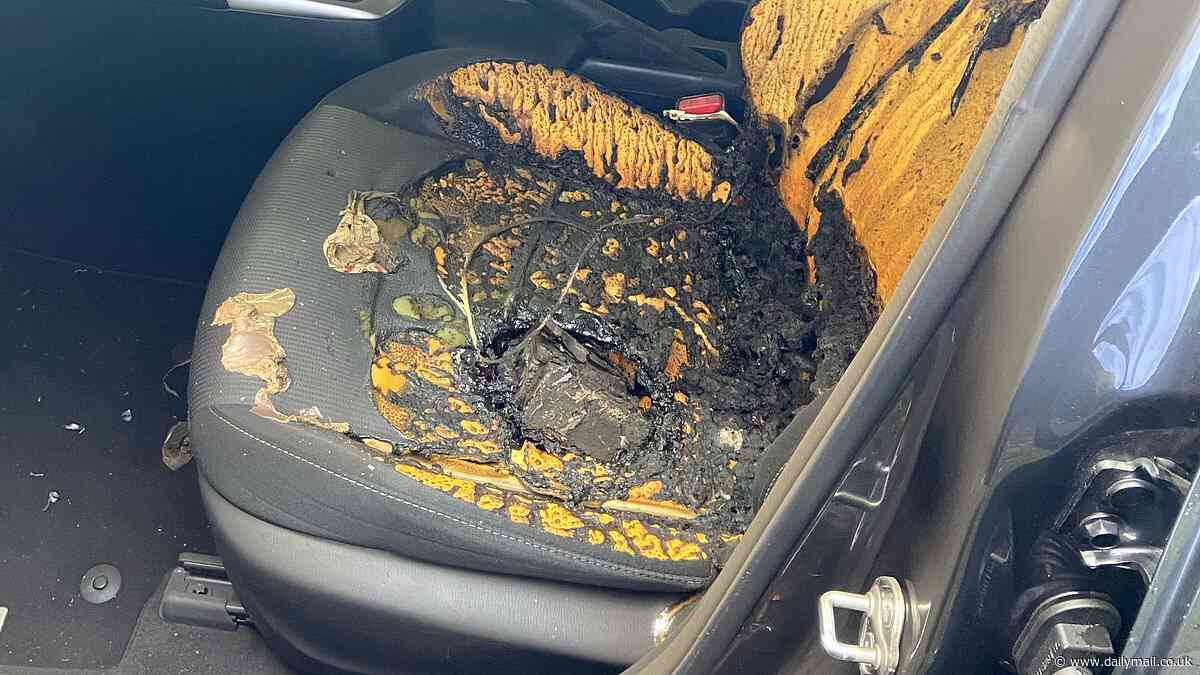 Student's urgent warning after a mobile charger explodes in his car - and it wasn't even plugged in
