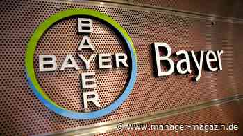 Bayer Aktie steigt: Schwaches Agrargeschäft setzt Agrar- und Chemiekonzern zu