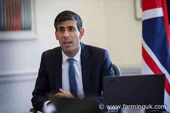 Sunak pledges to track UK-wide food security issues on annual basis