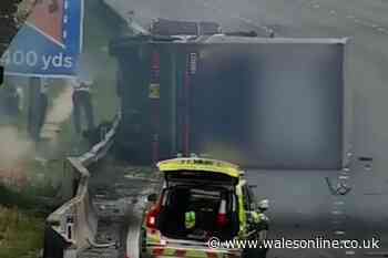 Dash cam caught moment lorry driver killed horse in motorway crash