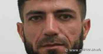 Europe's most wanted people smuggler nicknamed The Scorpion arrested in police sting