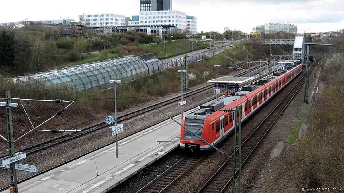 Instant karma: Sex attacker gropes female train passenger… and then loses his arm when tram hits him during scuffle with crowd who came to the victim's aid in Germany