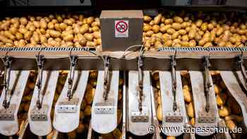 Kartoffelpreise steigen weiter