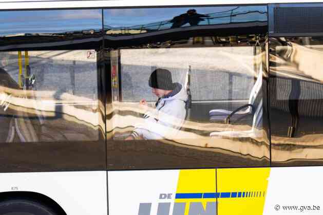 “Enkele tientallen” bussen van De Lijn staan aan de kant wegens faillissement Van Hool