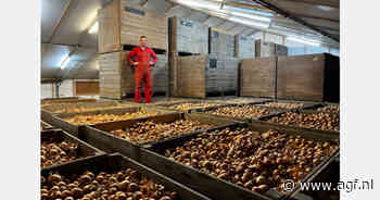 'Reddingsactie' gestart voor 117.000 kilo uien van Bastiaan Blok