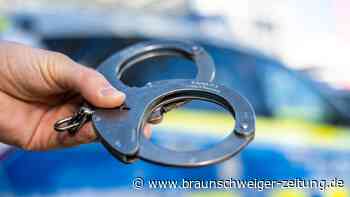 Wolfsburger ertappen Einbrecher auf frischer Tat