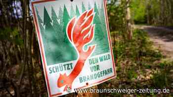 Waldbrandgefahr steigt: Höchste Warnstufe in Niedersachsen