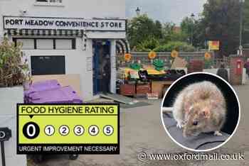 Oxford shop given ZERO rating as rat infestation shuts store
