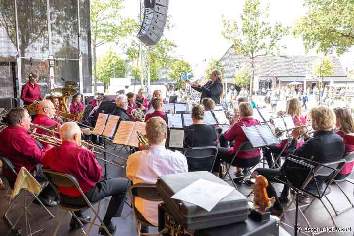 Vertrouwenspersoon voor amateurkunstsector in Drenthe