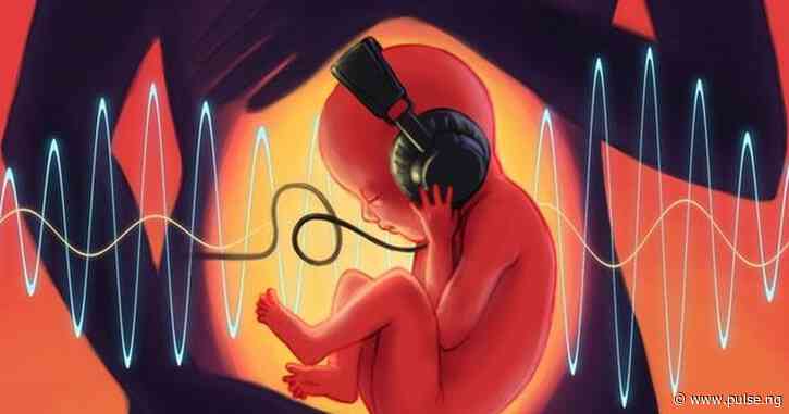 Can unborn babies hear in the womb?