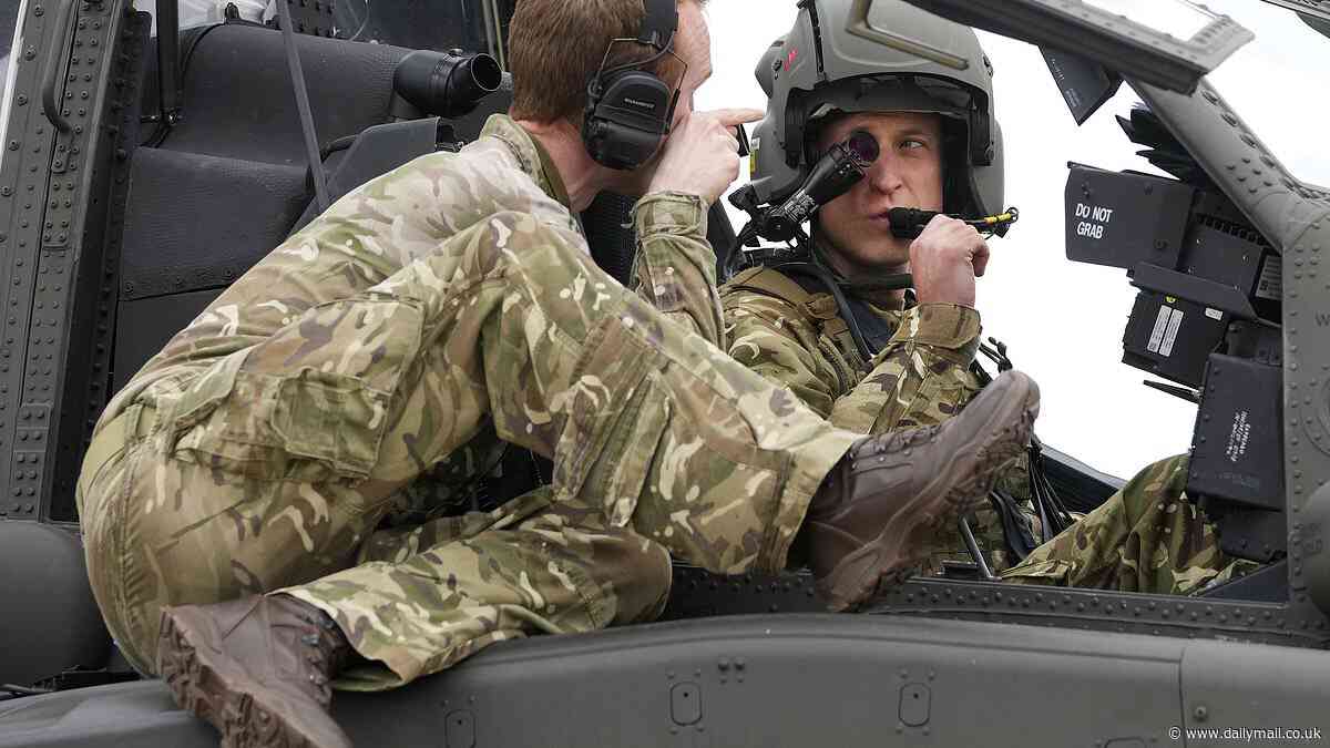 Harry vs William in the Apaches: Experts say getting to grips with the gunship was easy for 'accomplished pilot' William (but Harry has more 'Top Gun swagger')