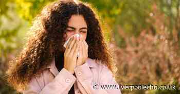 NHS' verdict on the six things that can make hay fever worse