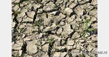 Hitte, droogte en wateroverlast: gevolgen klimaatverandering vragen om versneld beleid