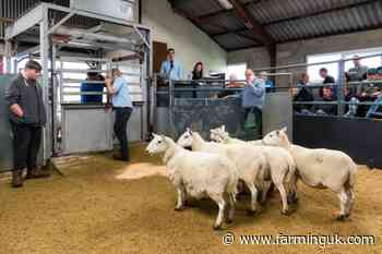 Auction marts see overall turnover jump to &#163;2.2 billion