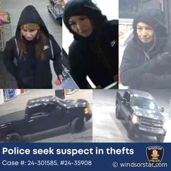 Windsor police seek public's support to identify suspect in vehicle thefts