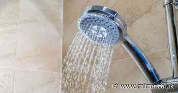 Expert reveals how to clean a shower head with a 35p staple household item