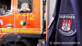 Feuerwehr-Jahresbericht: Mehr Großbrände - weniger Brandtote