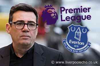 Everton heavyweights back new supporters call after Premier League shambles