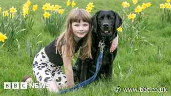 Support dog helps girl, 8, cope with autism