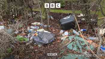 Half a tonne of rubbish collected in A12 litter-pick