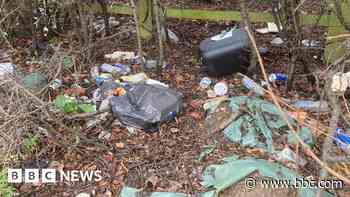 'A12 litterbugs are heinous slobs' - councillor