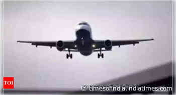 Indian aviation industry loss estimated to stay at Rs 30-40 billion in FY25