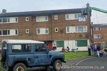 Vera cast and crew take over Northumberland housing estate to film ITV drama