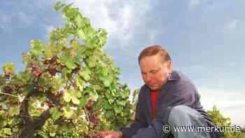 In Rheinland-Pfalz befindet sich der älteste Weinberg der Welt