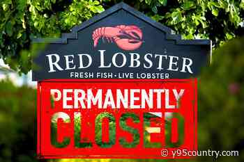 Red Lobster Closing More Than 50 Locations, Auctioning Off Equipment + Furniture