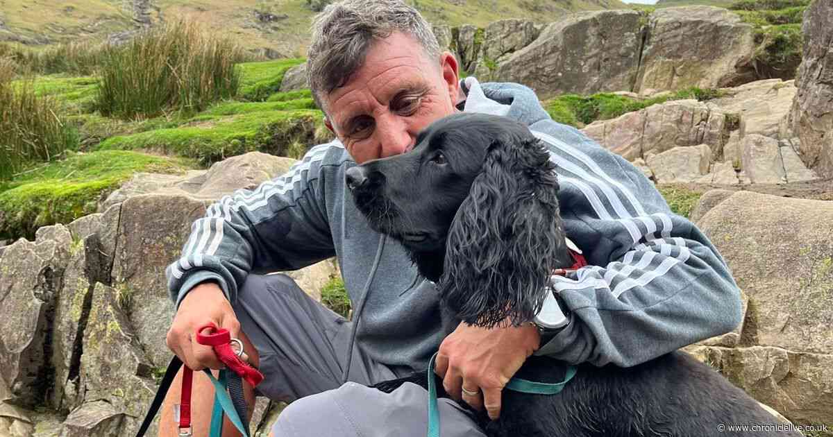 The adorable moment cocker spaniel Wally is reunited with his owner at Newcastle Airport