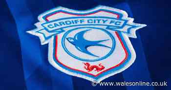 Tonight's Cardiff City news as club to change badge and forward on trial at Charlton Athletic