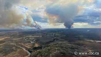 Wildfire threatening Fort McMurray grows to 9,600 hectares