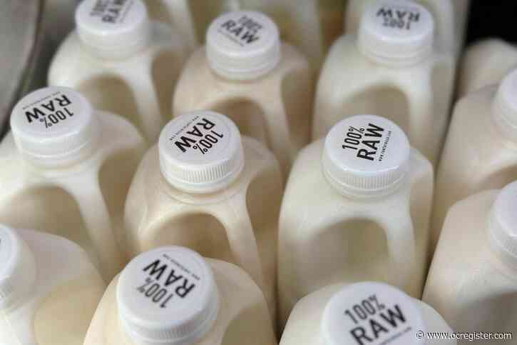 Bird flu found in US dairy cows isn’t deterring raw milk drinkers