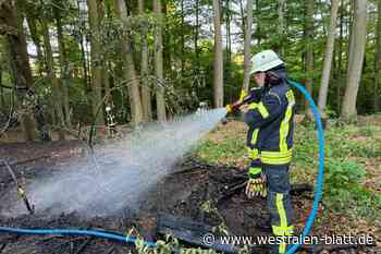 Waldbrand in Bielefeld schnell unter Kontrolle