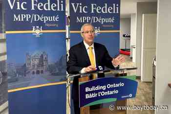 Fedeli has 'no comment' on controversial doctors and Health Ministry labour dispute