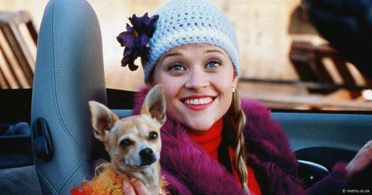 Legally Blonde fans demand Reese Witherspoon’s mini-me daughter cast as Elle Woods in new spin-off