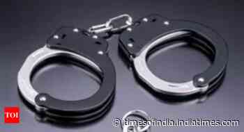 Pak intruder arrested near LoC in J&K
