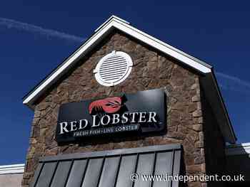 Red Lobster’s collapse signals the end of fast-casual dining putting other chains at risk, expert says