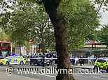 Armed officers swarm north London neighbourhood Stamford Hill after woman in her 30s is shot in the leg