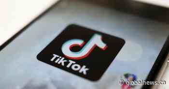 U.S. law that could ban TikTok faces new lawsuit from content creators