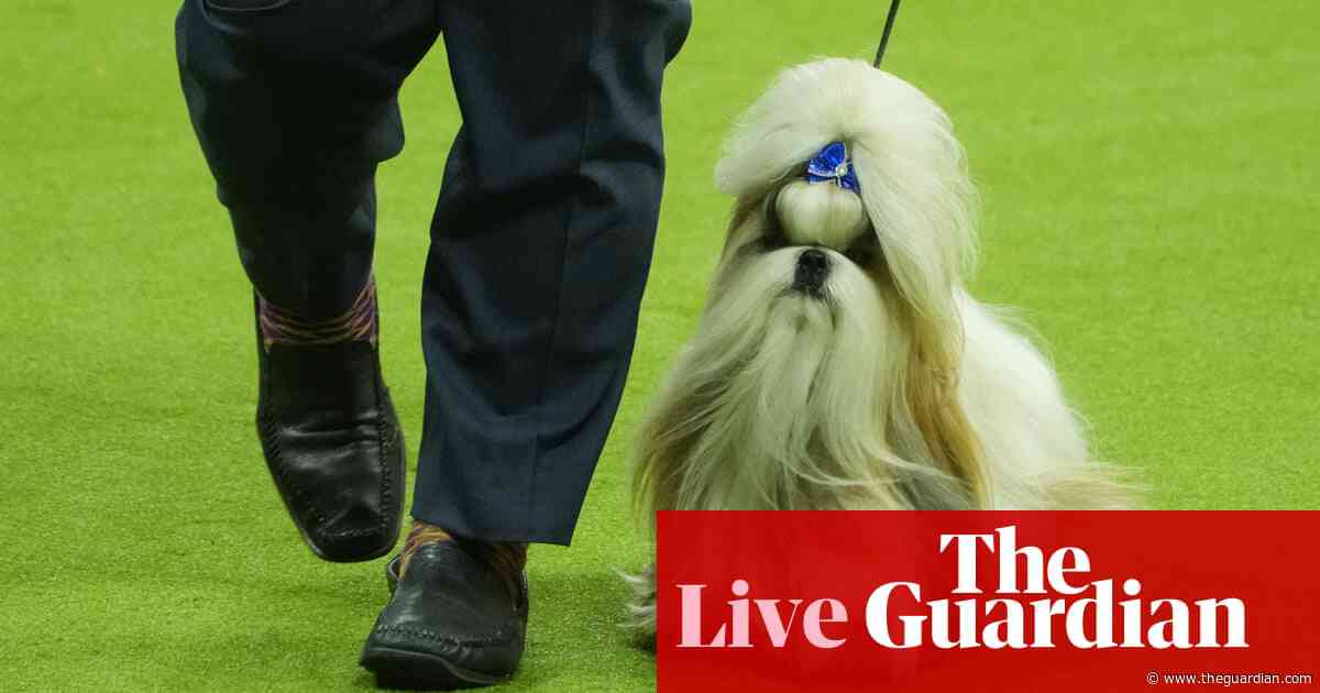 Westminster Dog Show: The schedule, judges, group winners and best in show results — live updates