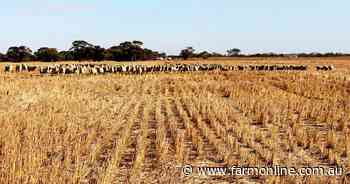 Bordertown farm auction might attract new starters