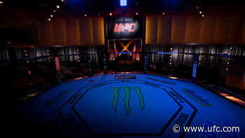 Updates To UFC Fight Night: Barboza vs Murphy
