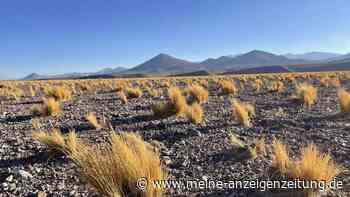 Wüstentrip und Wasserspaß: Die Atacama in Chile